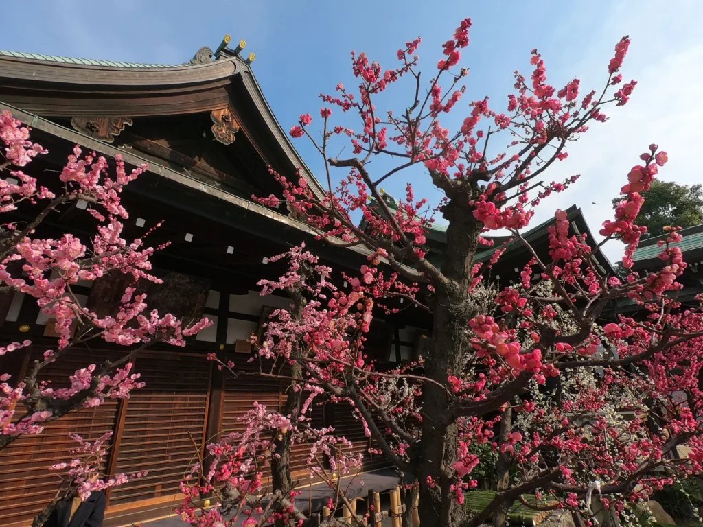 ⛩️ 오사카 천만궁 (오사카 텐만구) 이미지 5